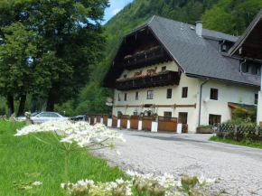 Gasthof Steinbräu Faistenau